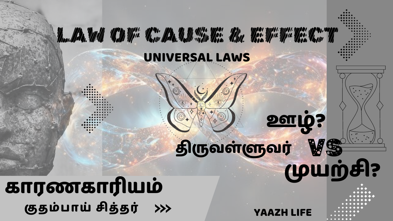 Law of Cause and Effect